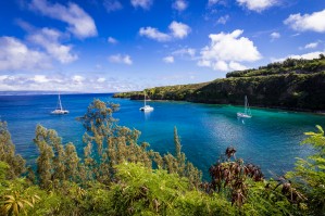 Honolua Bay   Maui Hawaii 1535